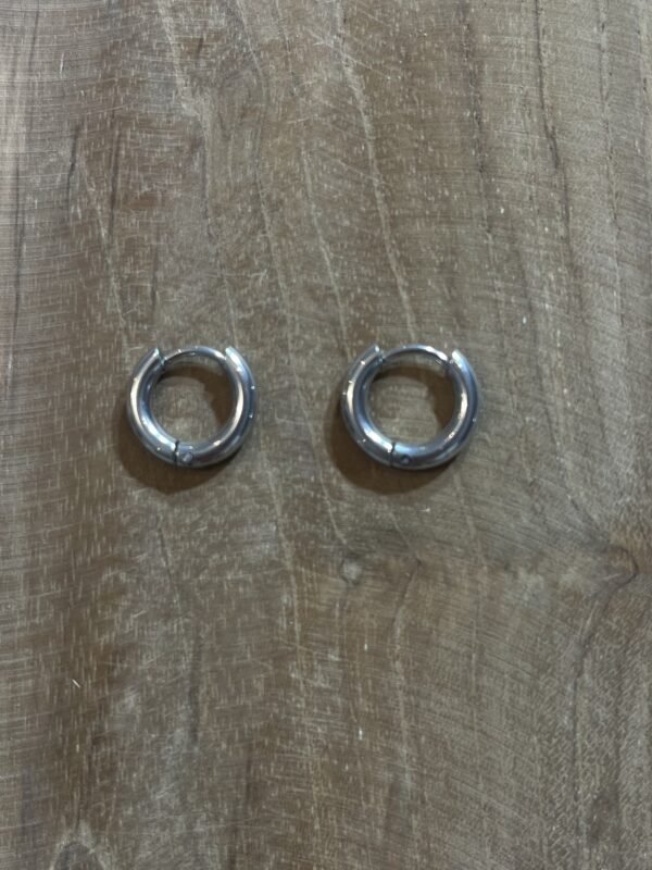 Petites créoles argentées