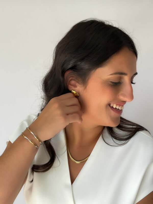 image00068 Jonc Fusion